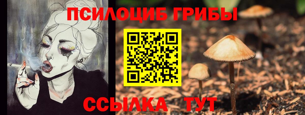 где можно купить наркотик  Псилоцибиновые грибы Cubensis  Вход с VPN  Кумертау 